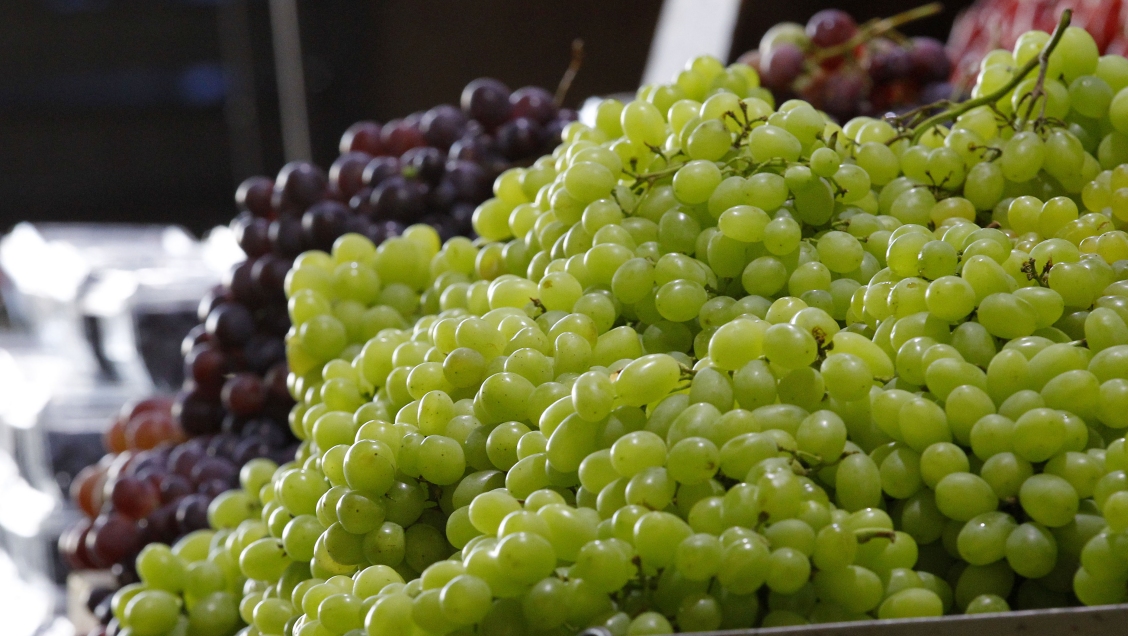 Exportaciones de frutas chilenas crecieron casi un 10 por ciento el último año