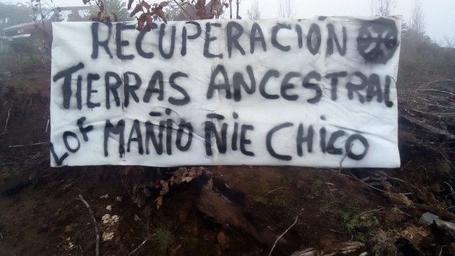 Comunidad mapuche ocupó fundo que es explotado por empresa forestal en Galvarino