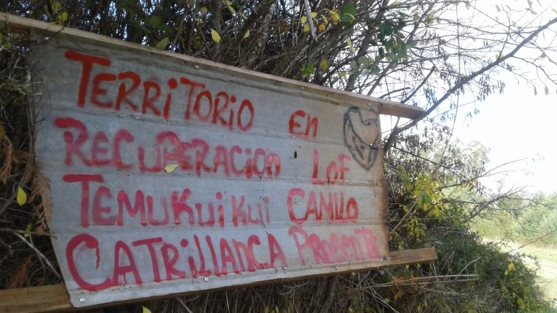 Comunidad mapuche anunció recuperación definitiva de fundo perteneciente a Forestal Mininco