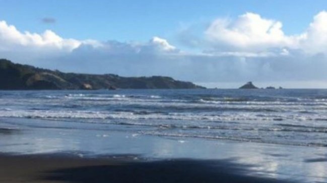 Congreso Ciencias del Mar se desarrollará este año en Iquique