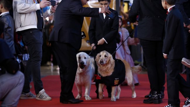 Humber y Atom brillaron en la alfombra roja de 