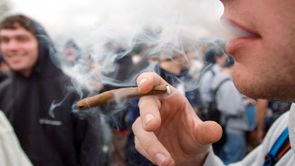   Hablando de...: El aumento del consumo de marihuana en universitarios 