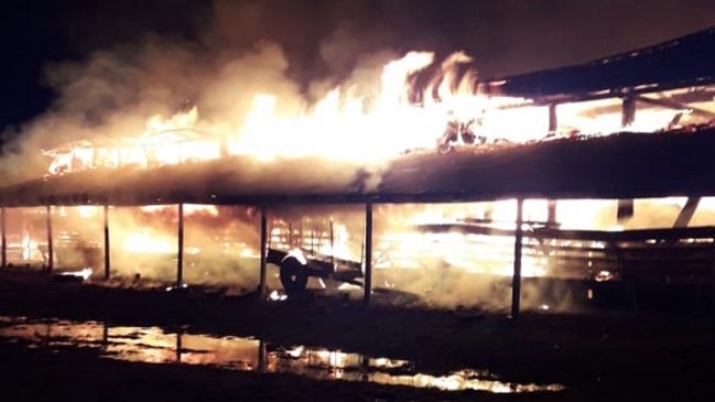 Incendio consumió galpón en fundo de suegro de diputado Andrés Molina