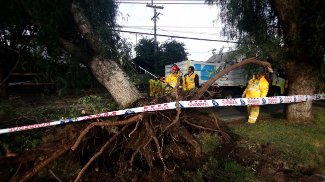Intendenta por cortes de luz: Llegó el momento de plantearse el soterramiento de cables