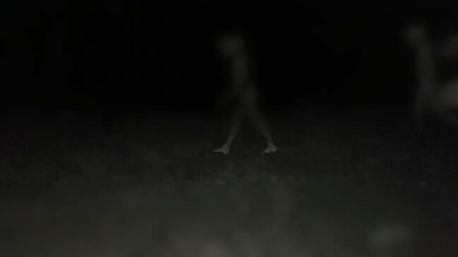 Supuesto avistamiento de ovnis en el Lago Chungará generó pánico en viajeros