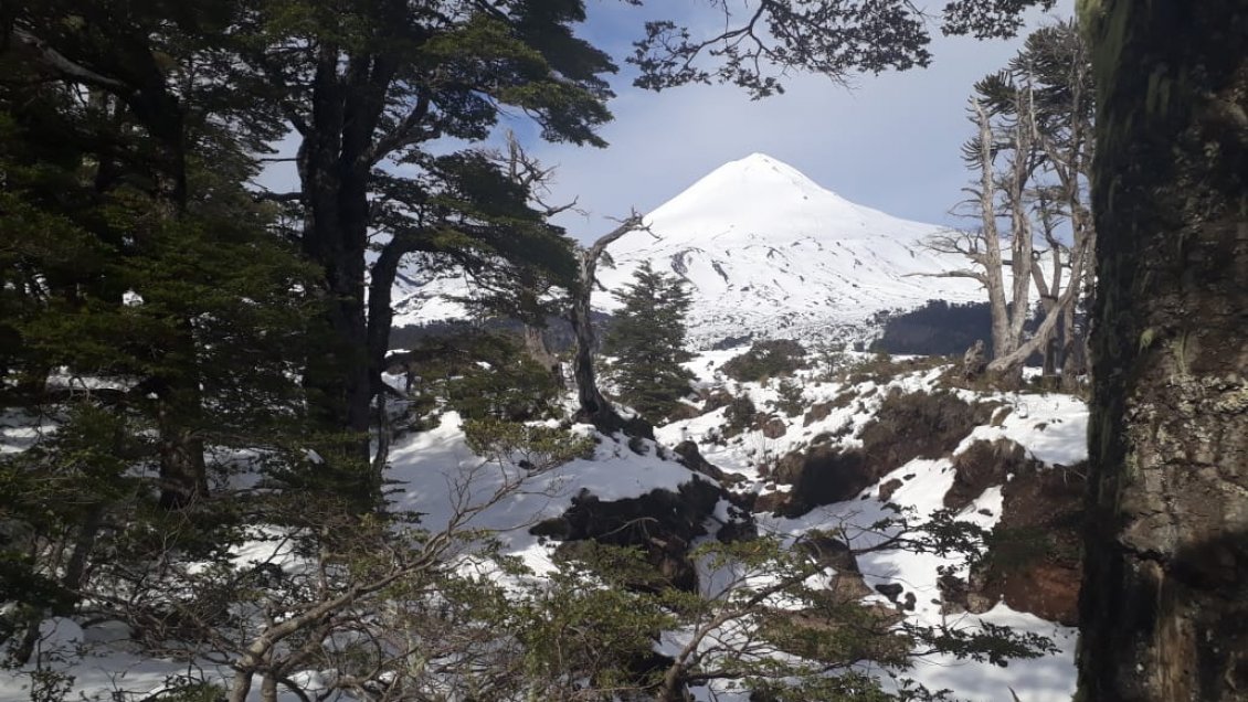 Brigada militar se sumó a la búsqueda de docente extraviado en el Parque Conguillío