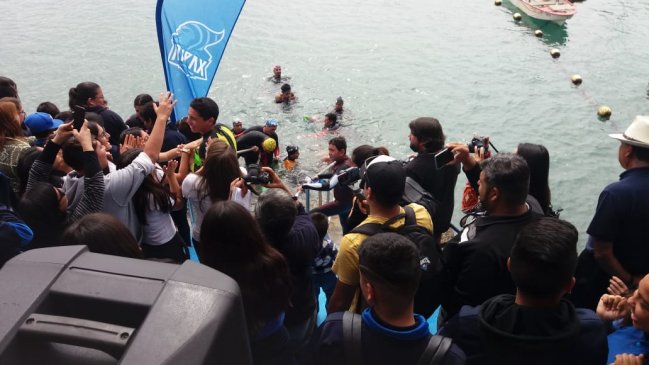 ¡Gigantes!: Niños y jóvenes nadaron más de 16 kilómetros para dar inicio al mes de Arica