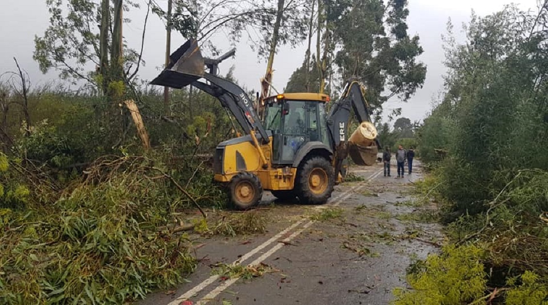 Tromba marina derribó árboles y bloqueó rutas en Chanco