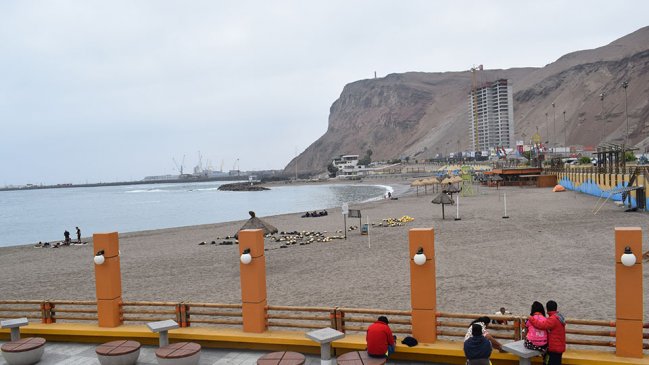 Proyecto permitirá conocer la biodiversidad del borde costero de Arica