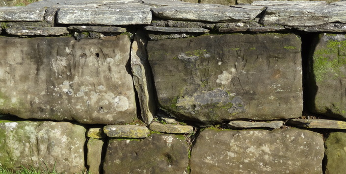 Denuncian destrucción en fuerte de Angol que data de 1867