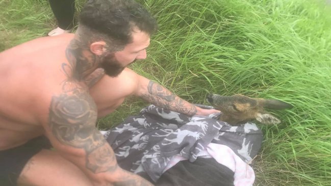 Heroica reacción de un joven: Salvó a un pequeño ciervo de ahogarse