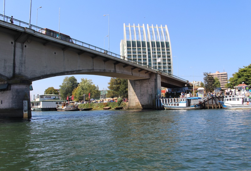 Conductor ebrio impactó barrera de puente y cayó al Río Valdivia