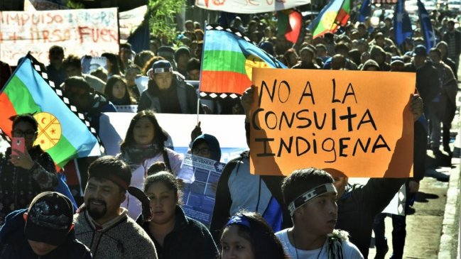 Comunidades mapuche de Los Ríos presentan recurso de protección para detener consulta indígena