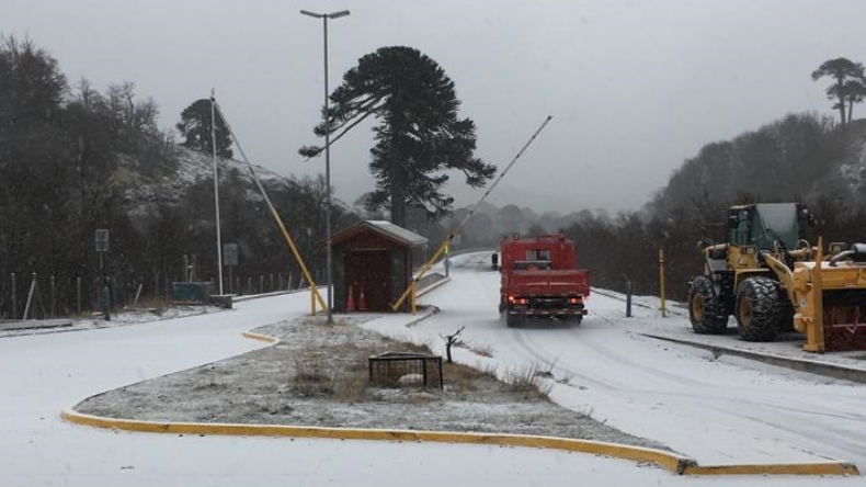Encuentran a ciudadano argentino con sus genitales cercenados en Curarrehue