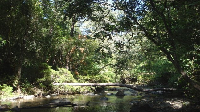 Reserva Nonguén de Concepción pasará a ser Parque Nacional