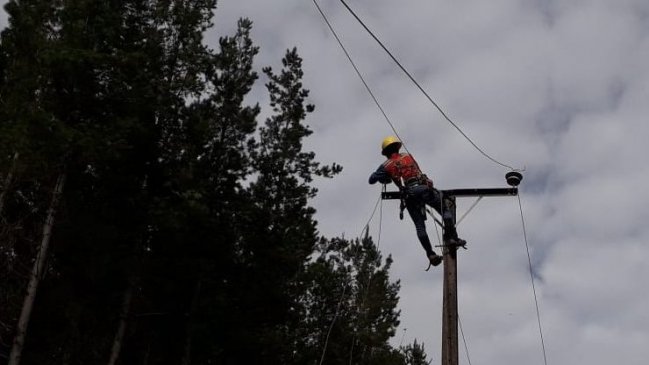 Empresas de distribución eléctrica de Ñuble están en la mira por reiterados cortes