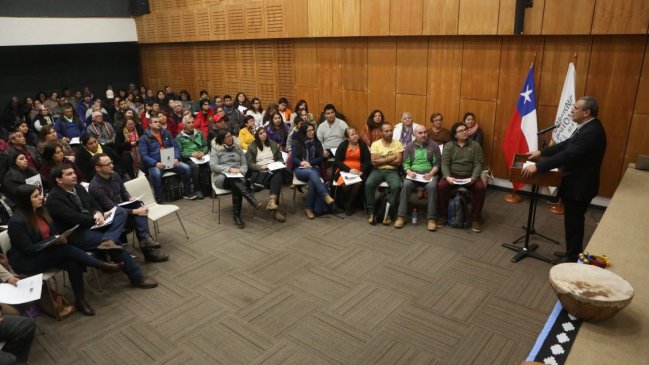 Gobierno apeló al diálogo para retomar Consulta Indígena en el Maule