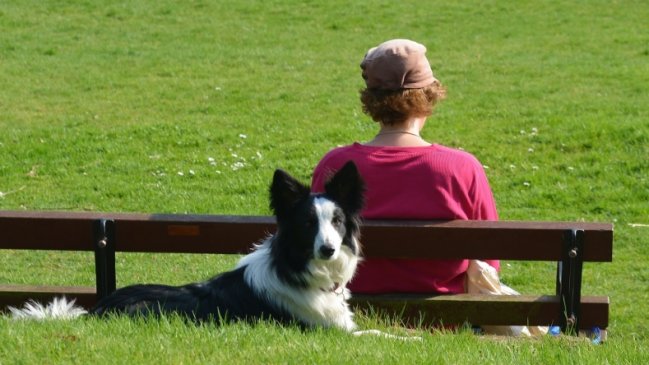 Estudio revela que humanos estresados 