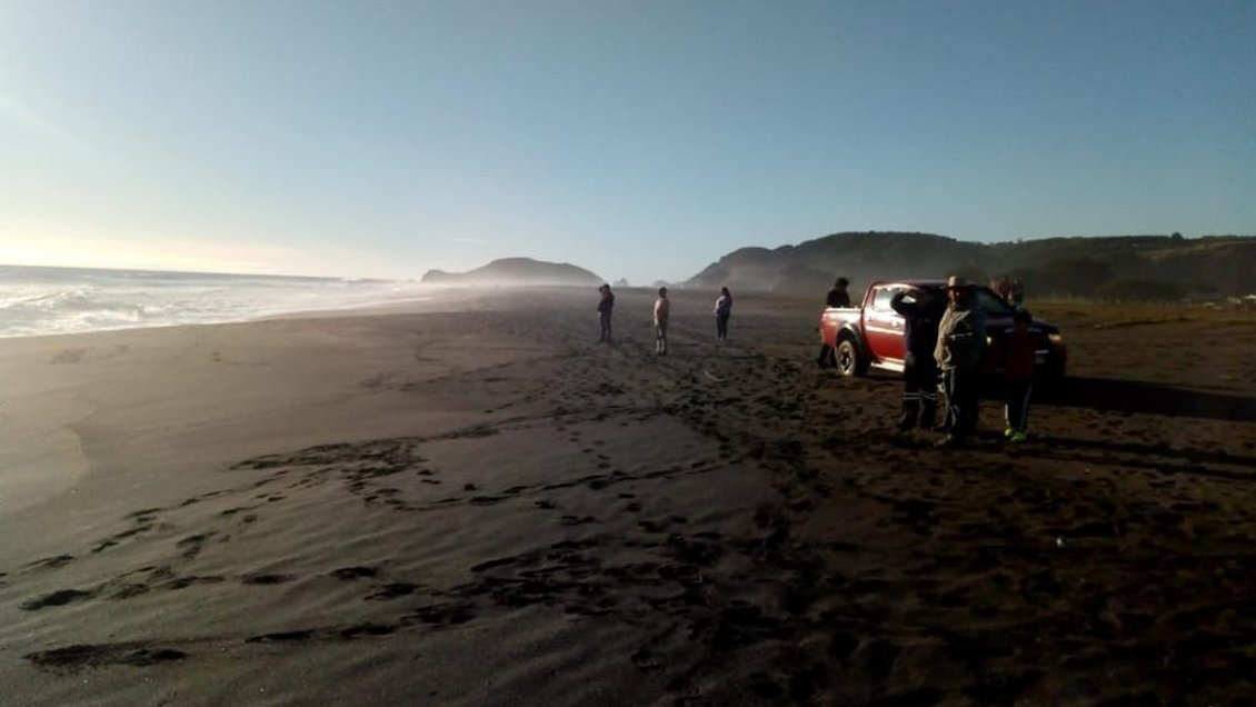 Niño de tres años falleció tras ser arrastrado por una ola en Cobquecura