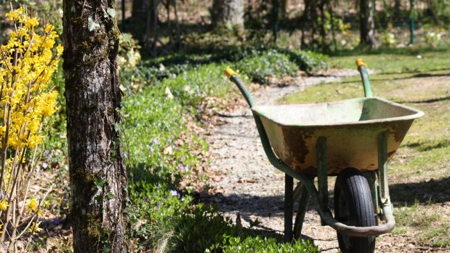 Detienen a presunto ladrón que trasladaba su botín en una carretilla