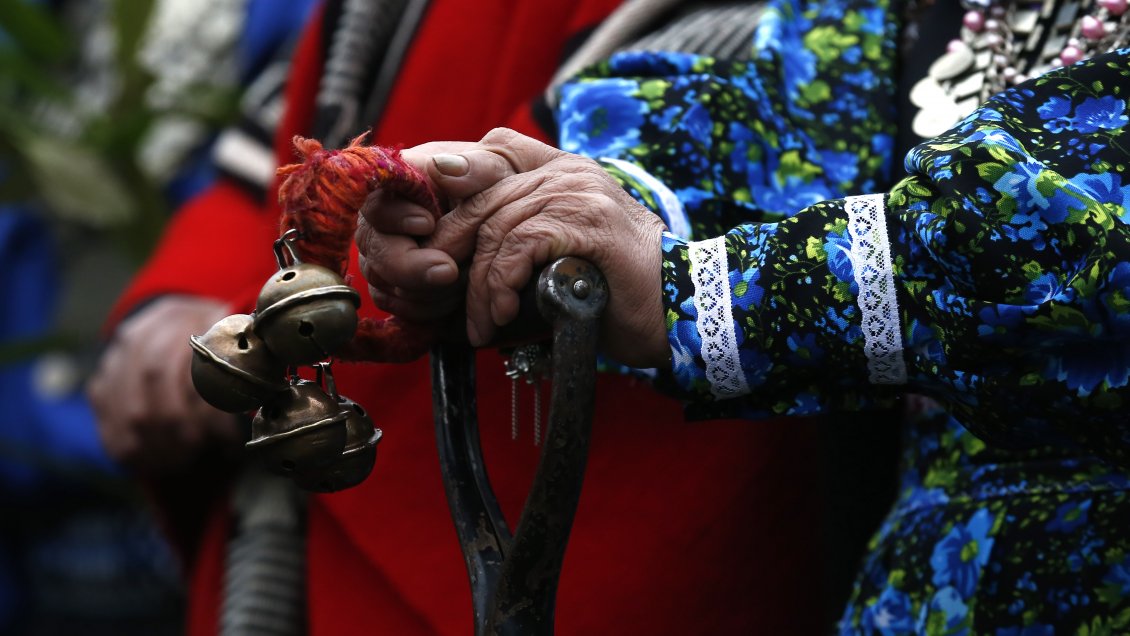 Senadores DC piden al Gobierno suspender consulta indígena en macrozona mapuche