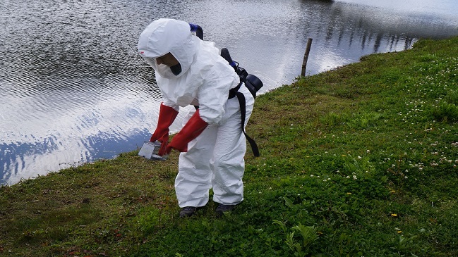 Minsal confirmó cuarto caso de hanta del año en la Región del Biobío