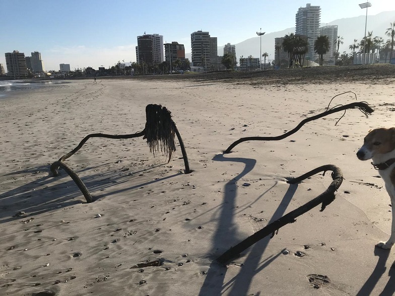 Imagen foto_00000002