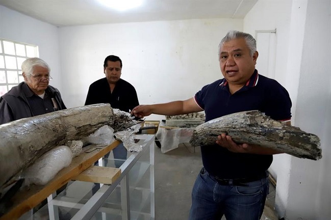 Imagen foto_00000002