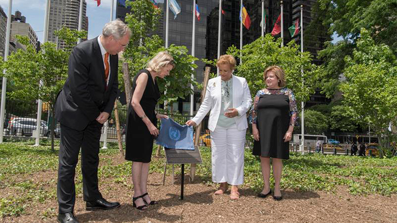 Imagen foto_00000002