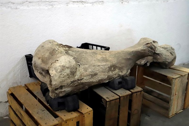 Imagen foto_00000003