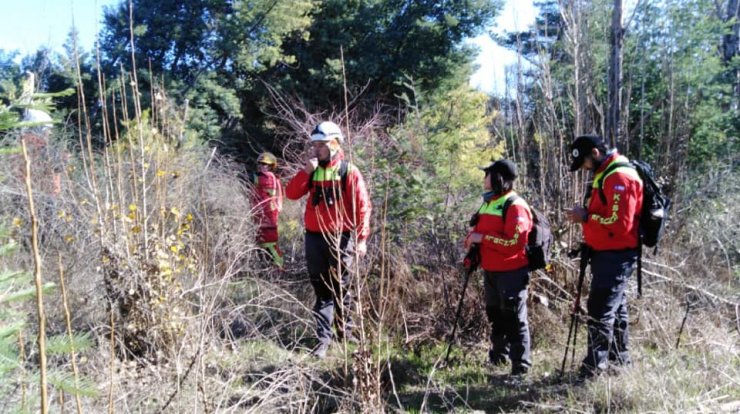 Intensifican búsqueda de adulta mayor desaparecida hace un mes en Quirihue