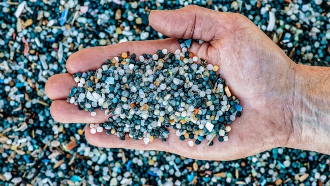 Personas ingieren plástico equivalente a una tarjeta de crédito cada semana