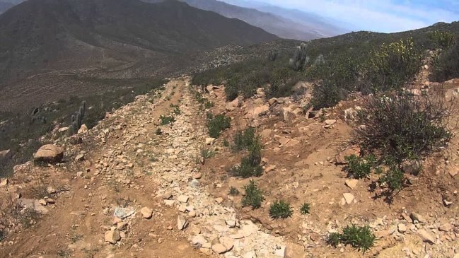 Realizan operativo para rescatar a tres personas desde un cerro en La Serena