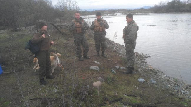 Perros policiales se suman a búsqueda de escolar desaparecido en el Río Achibueno
