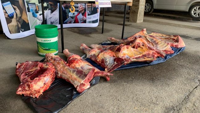 PDI decomisa cerca de 200 kilos de vacuno robado y detuvo a dos personas