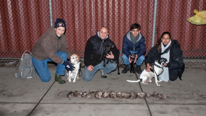 Imagen foto_00000001