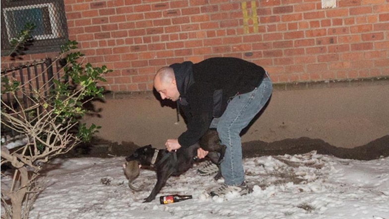 Imagen foto_00000005