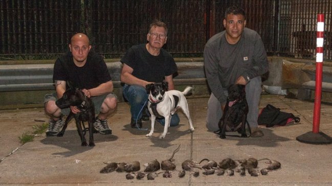 La quimérica y rara misión de un 