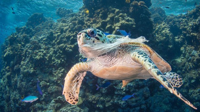 El G20 ultima marco global para reducir el plástico en los océanos