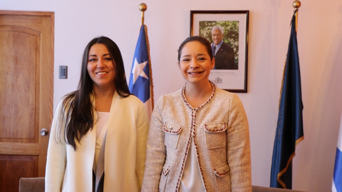 Región de Coquimbo tiene nueva seremi de Medio Ambiente