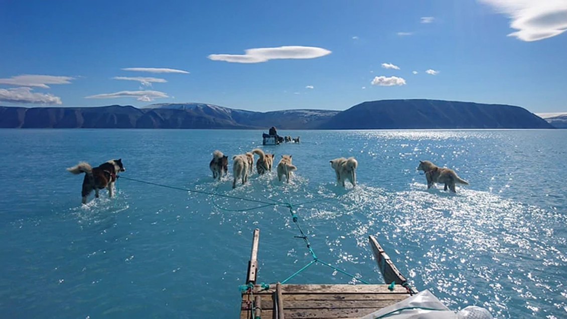 La foto que dispara las alertas por la emergencia climática en Groenlandia