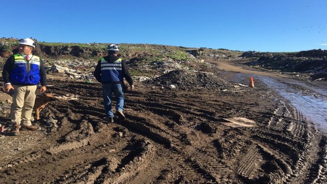 Botadero ilegal de basura en Lebu fue clausurado por incumplimientos sanitarios
