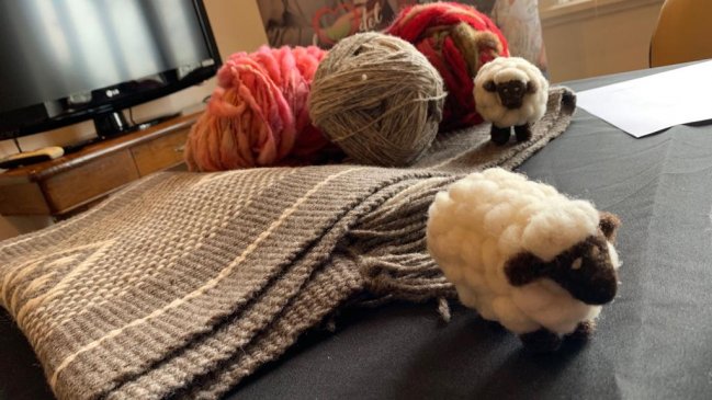 Expo Tejidos congregará a 80 expositores en Valdivia durante vacaciones de invierno