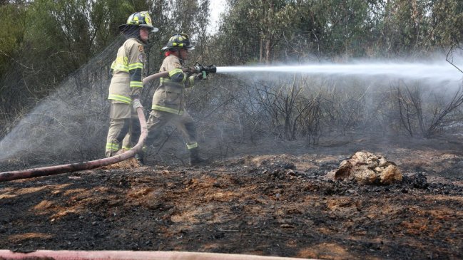 Incendios forestales: Postergan revisión de suspensión condicional de ejecutivos de CGE