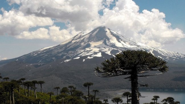 Suspendieron búsqueda de docente extraviado en Parque Conguillío