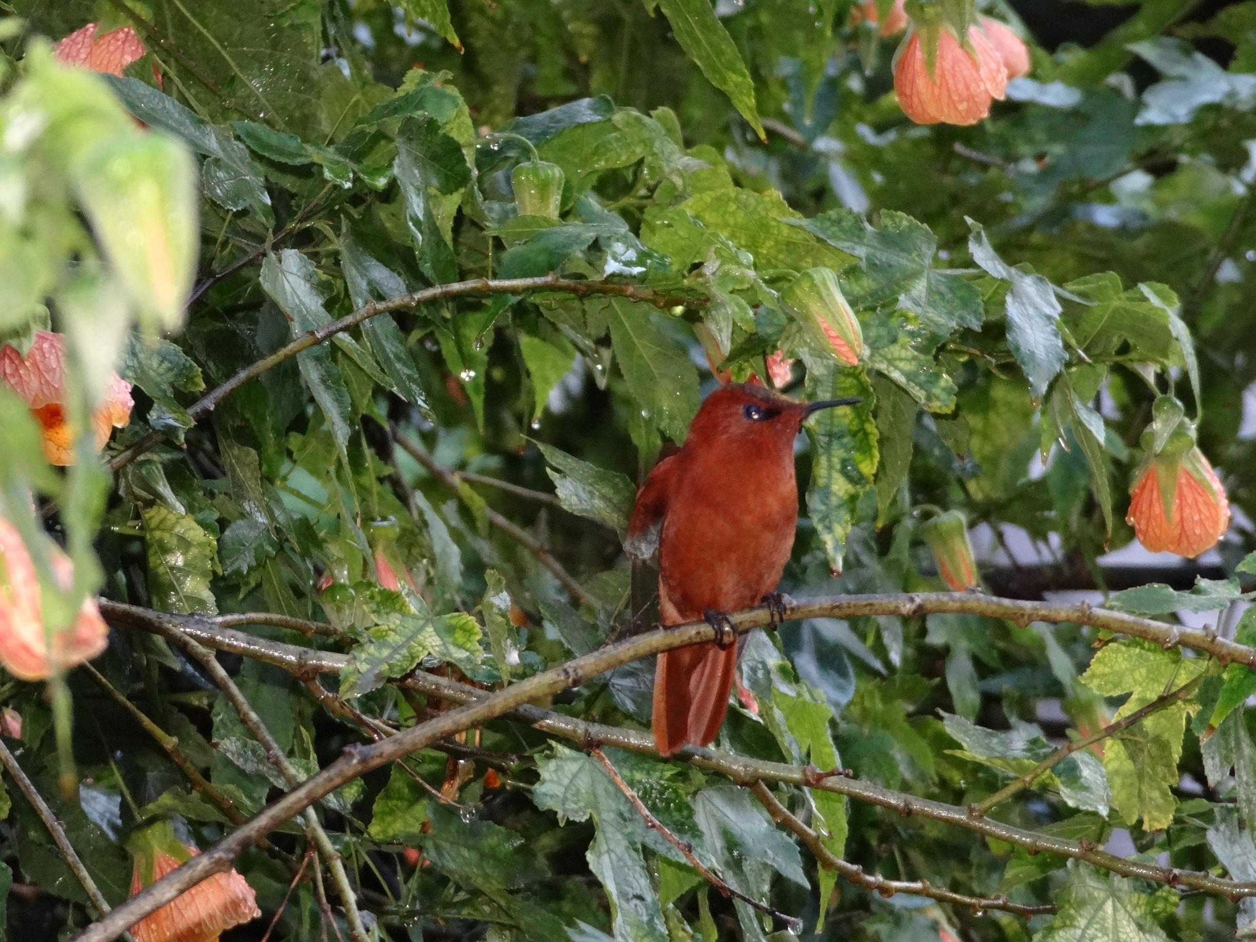 Imagen foto_00000002