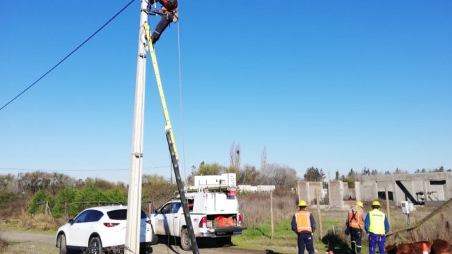 Familia demandará a CGE por muerte de yegua en Maule: se electrocutó