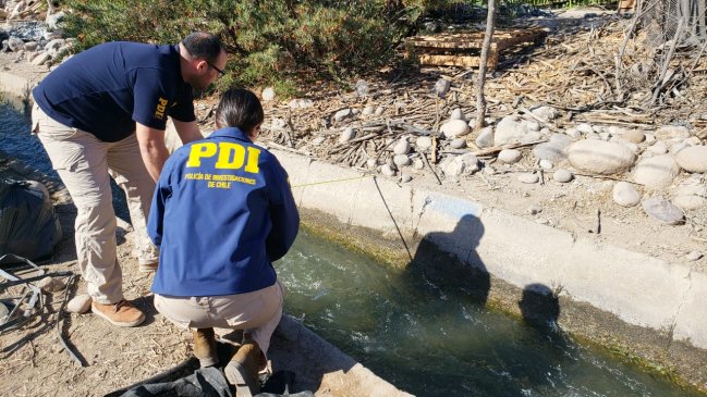 Bebé de un año y medio falleció tras caer dentro de un canal de regadío en Arica
