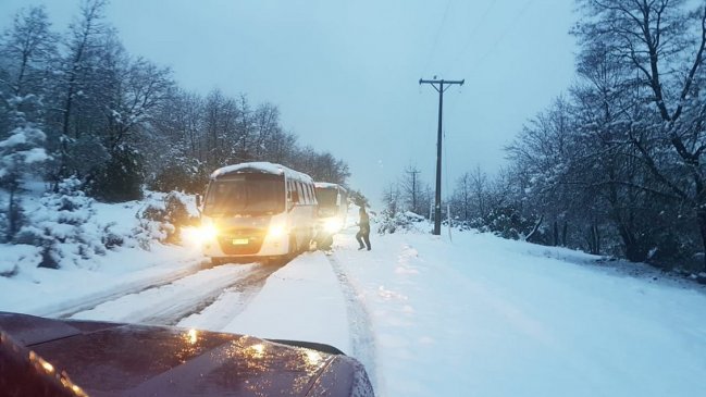 Entregarán forraje a agricultores afectados por fuertes nevazones en Alto Biobío