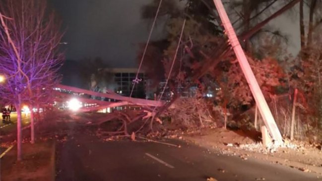 Árbol arrasó con 12 postes del alumbrado público tras desplomarse con el viento en La Dehesa
